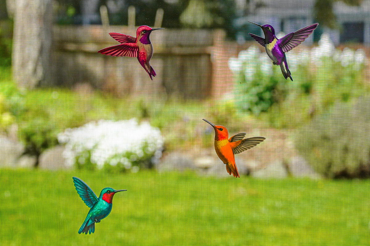 Four colourful ScreenSense hummingbird magnets on a garden screen