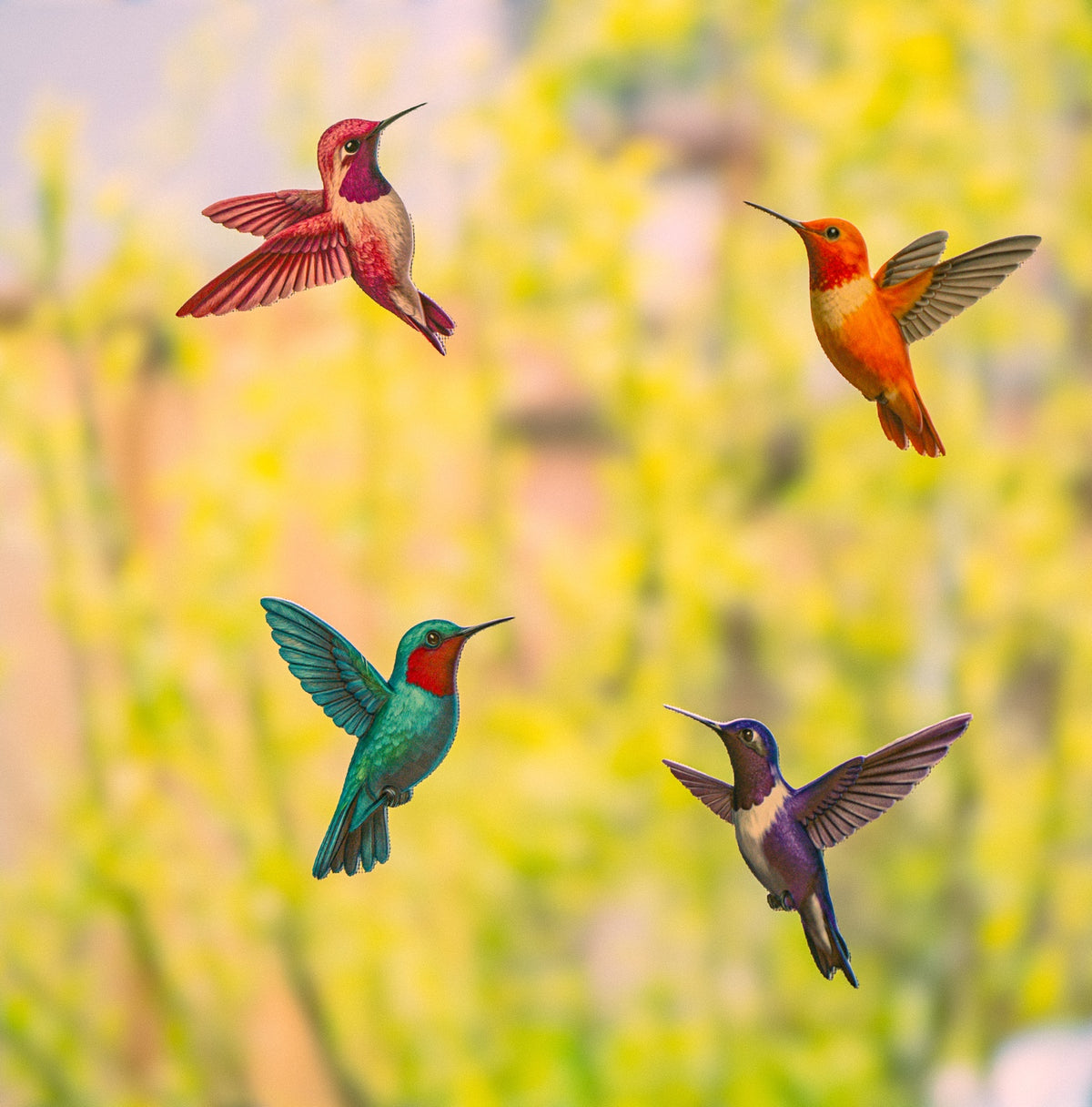 Four colourful ScreenSense hummingbird magnets against a garden background
