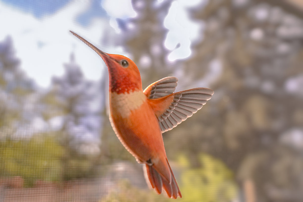 Decorative orange hummingbird ScreenSense magnet on screen