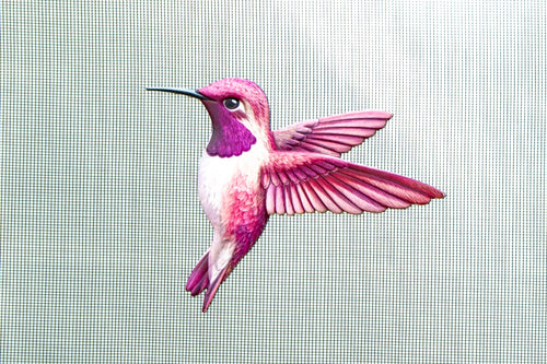 ScreenSense Pink Hummingbird magnet installed on screen mesh